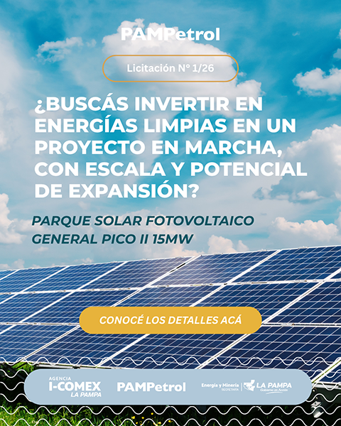 popup-licitacion-1-26-psfv-pico-600x480